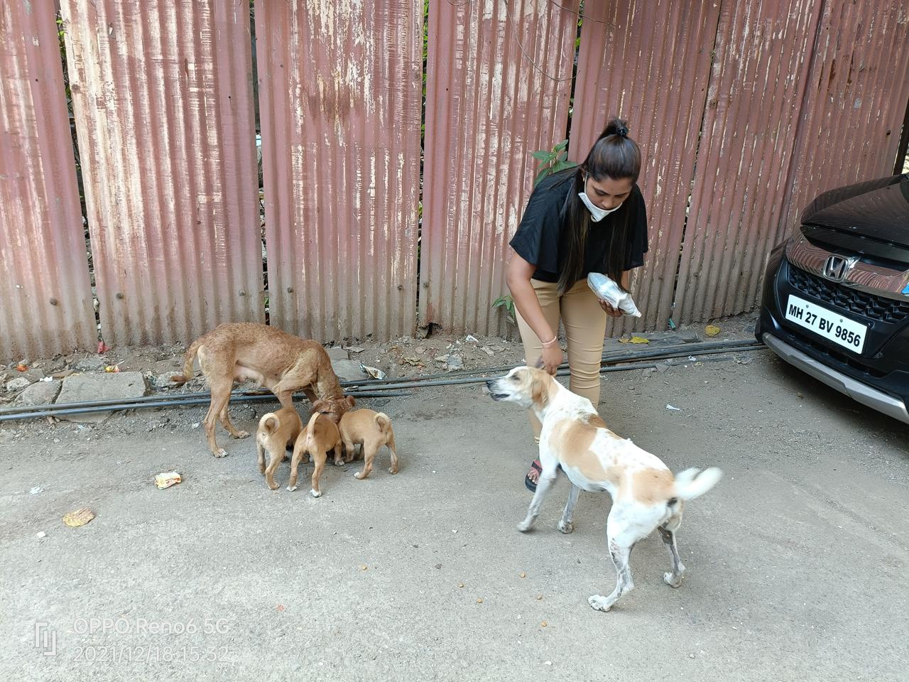 Founder Nisha Pawar with rescued animal